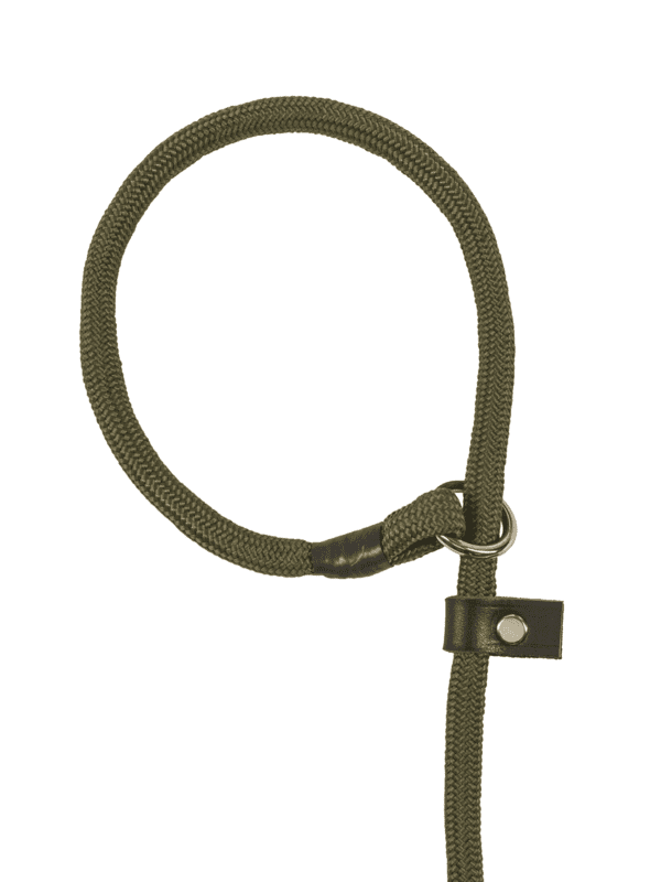 Olive Green Lead - Image 2