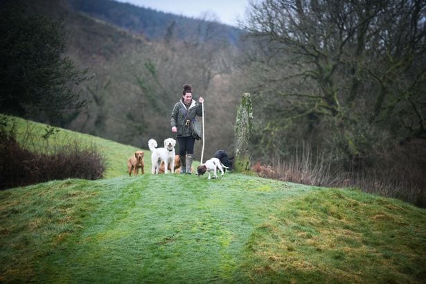 Sian Richards in the rural landscape of the farm, walking some of it's residents.